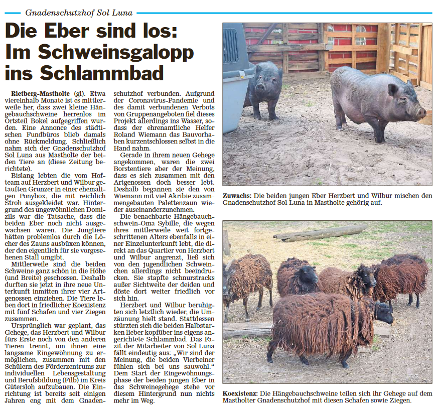 Die Glocke_08.06.20.png